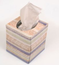 uses_for_tissue_boxes_s